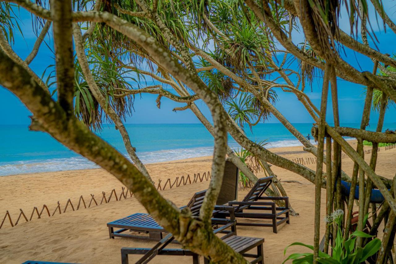 Temple Tree Resort & Spa Bentota Exteriér fotografie